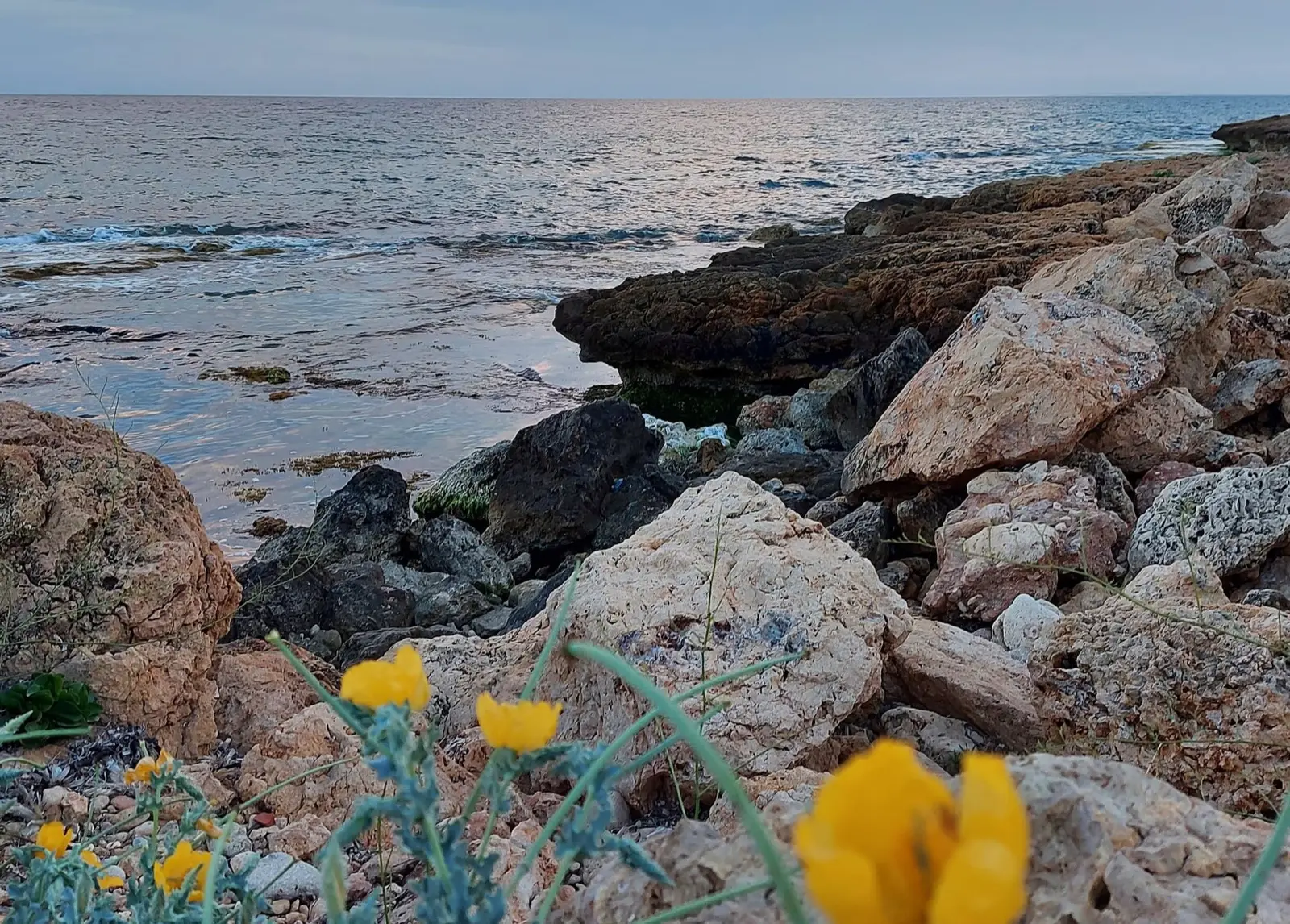 Rotsige kustlijn met wilde bloemen Costa Blanca